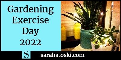 Get Some Indoor Gardening Exercise Today